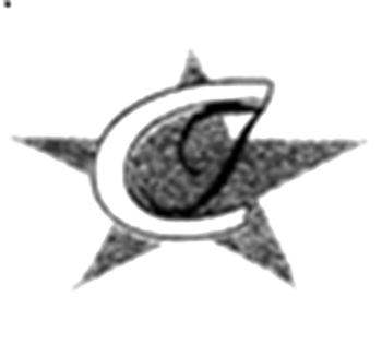 CYNOSURE Infotech logo