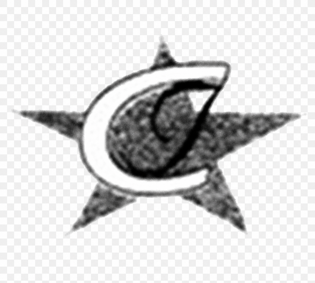 CYNOSURE Infotech logo